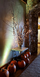 Lighting, Lighted Twig Branches Display