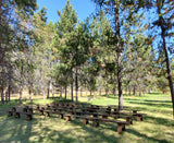 Bench, Mountainside Wood
